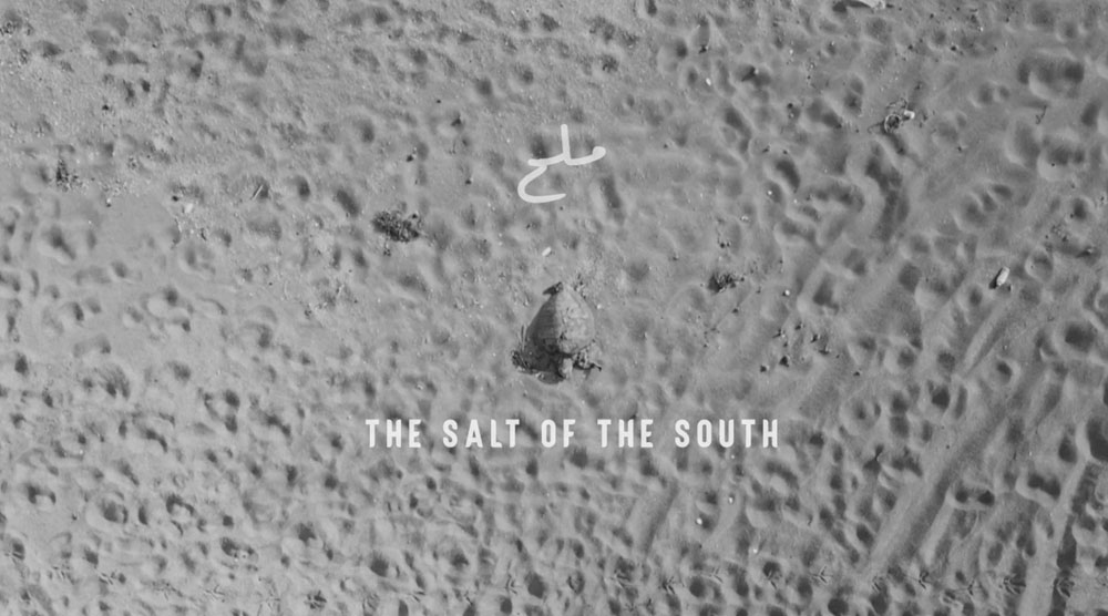 Salt of the South